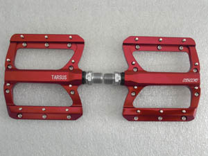KOWA170227_05.JPG