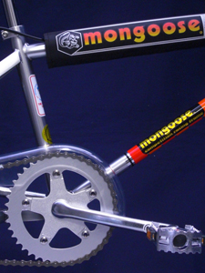 BMX STANDARD
