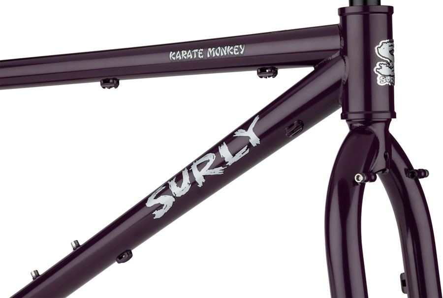 SURLY_KARATE_MONKEY_20240125_0